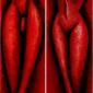 350 - Tycos & Zenobia in red